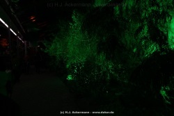 fotografie-15