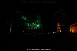 fotografie-58
