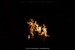 fotografie-12