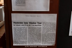 fotografie-31