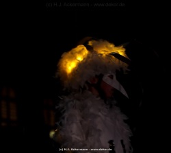 fotografie-16