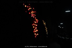 fotografie-24
