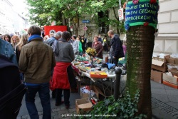 fotografie-21