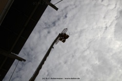fotografie-52