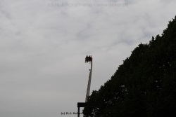 fotografie-24