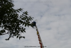 fotografie-61