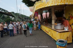 fotografie-79