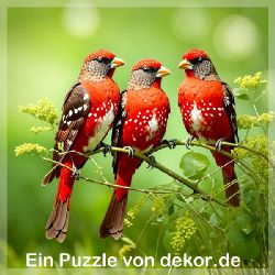 puzzle-tiere-quadrat-1-006