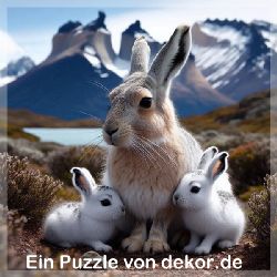 puzzle-tiere-quadrat-1-036