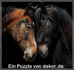 puzzle-tiere-quadrat-1-037